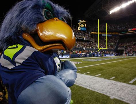 Celebrating the Seattle Seahawks Mascots: A Look at Their Most Memorable Appearances